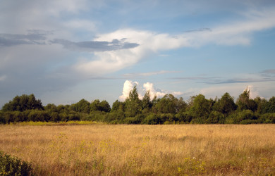 Similar image 177650