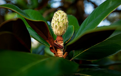 Similar image 177662