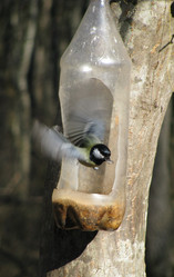 Similar image 177672