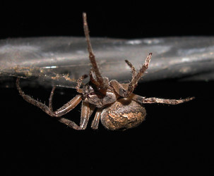 Similar image 177677