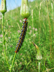 Similar image 177690