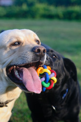 Similar image 177702