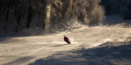 Similar image 177708