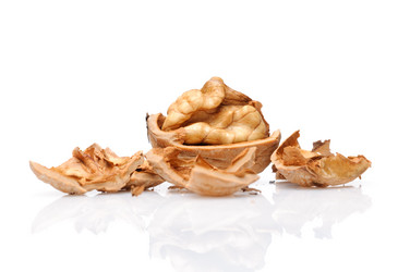 Similar image 177715