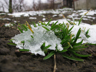 Similar image 177718