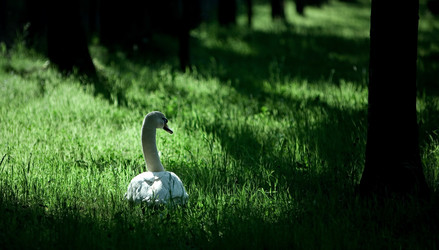 Similar image 177719