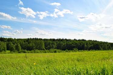 Similar image 177733