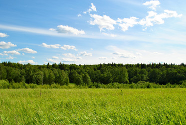 Similar image 177737