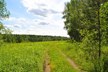 Similar image 177743