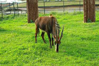 Similar image 177747