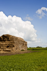 Similar image 177763