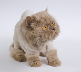 Similar image 177796