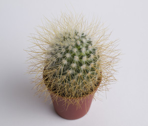 Similar image 177797