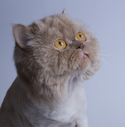 Similar image 177798