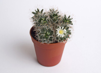 Similar image 177800