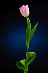 Similar image 177828