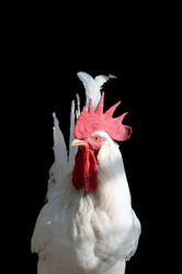 Similar image 177880