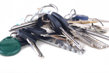 Similar image 177887