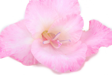 Similar image 177918