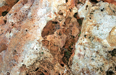 Similar image 177970