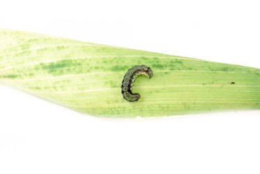 Similar image 177990