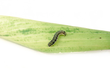 Similar image 177991