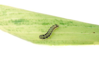 Similar image 177993