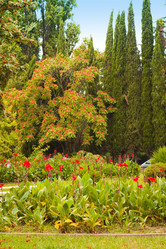 Similar image 178003