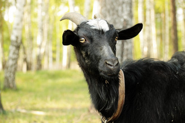 Similar image 178007