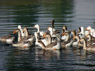 Similar image 178036