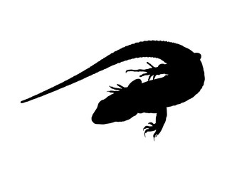 Similar image 178084