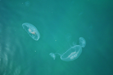 Similar image 178123