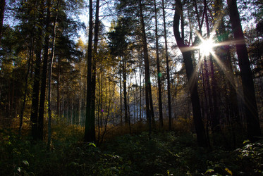 Similar image 178128