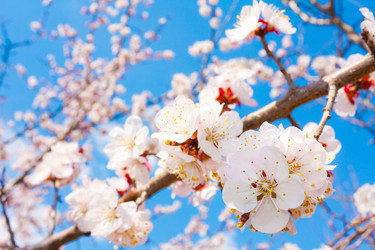 Similar image 178164