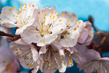 Similar image 178165