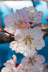 Similar image 178166