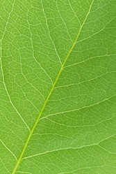 Similar image 178189