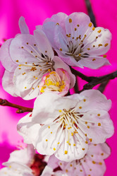 Similar image 178238