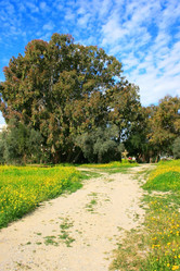 Similar image 178240