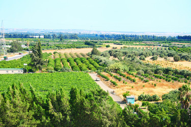 Similar image 178242