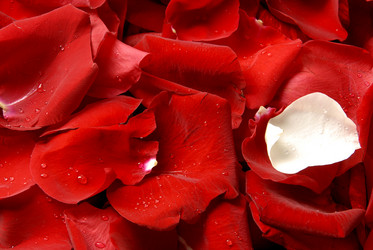 Similar image 178322