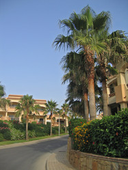 Similar image 178329