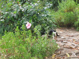 Similar image 178330