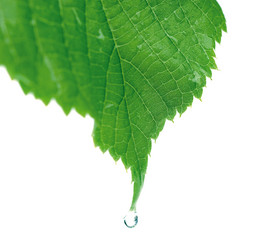 Similar image 178354