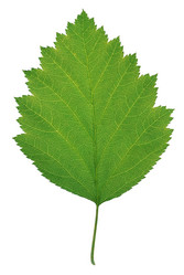 Similar image 178355