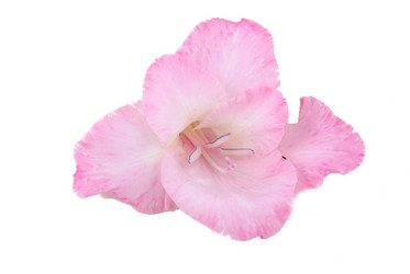 Similar image 178434