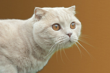 Similar image 178464