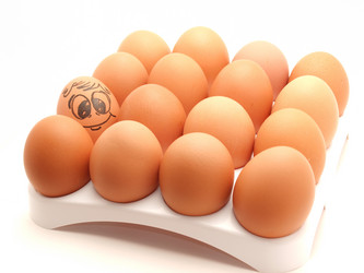 Similar image 178470