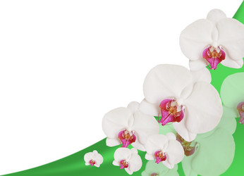 Similar image 178493