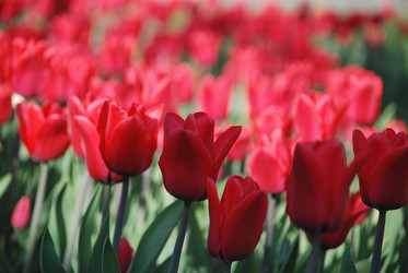 Similar image 178495